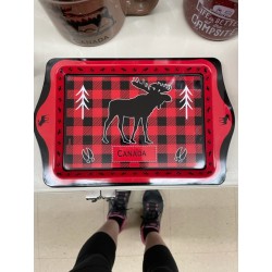 TIN SIGN CANADA TRAY