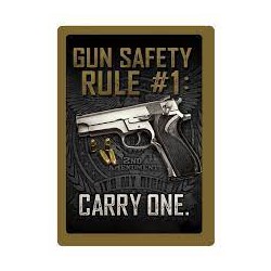 TIN SIGN GUN SAFETY