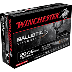 WINCHESTER 25-06 85 BAL ST