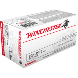 WINCHESTER 22-250 45 JHP -...