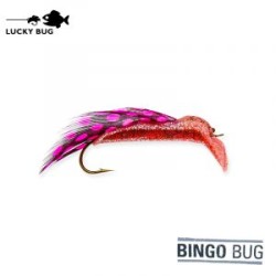 LUCKY BUG BINGO BUG #8...