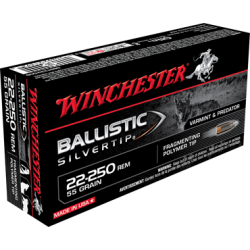 WINCHESTER 22-250 BAL/ST