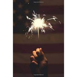 FIREWORK 10" SPARKLER