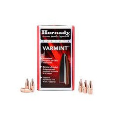 HORNADY BULLET .22 45 SP...