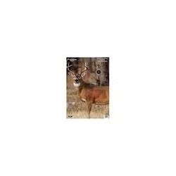 BIRCHWOOD CASEY TARGET DEER