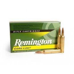 REMINGTON 308 WIN 180 GR...