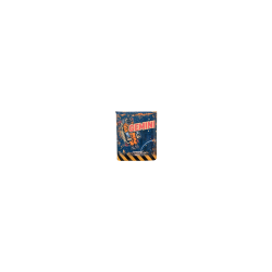 FIREWORK GEMINI