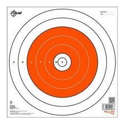 ALLEN EZ AIM BULLSEYE