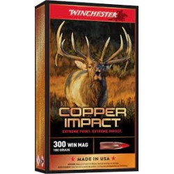 WINCHESTER 300 WIN 180 GR...