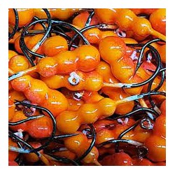 BIG SKY GRUESOME GRUB 1/8...