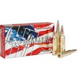 HORNADY 300 WSM 165 GR...