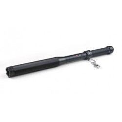 BEAR ARMS STUN BATON