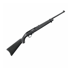 RUGER 10/22 RPF  BLUE ON...