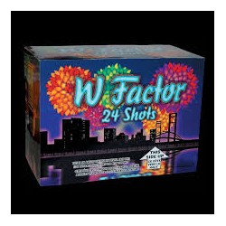 FIREWORK W FACTOR
