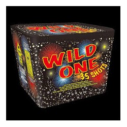 FIREWORK WILD ONE