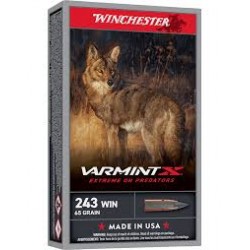WINCHESTER 243 65 VARMINT