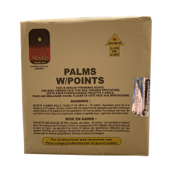 FIREWORK PALSM WITH POINTS