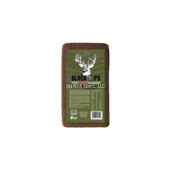 ANI LOGICS DEER ANTHEM BLOCK