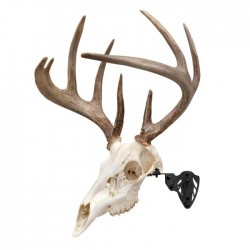 ALLEN EZ MOUNT SKULL HANGER