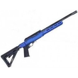 SPECTRE BALLISTICS RAPTOR 22LR