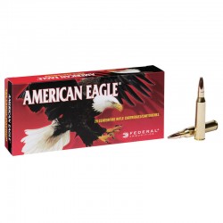 FEDERAL AMMO 338 LAPUA 250