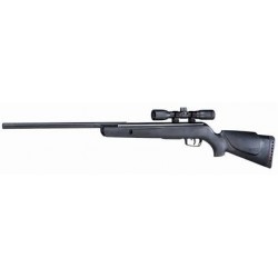 GAMO WILDCAT STORM .22 COMBO