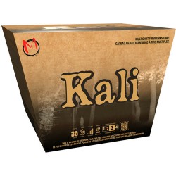 FIREWORK KALI