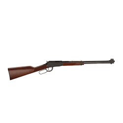 HENRY H001-22M 22WMR