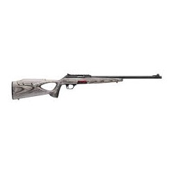 WINCHESTER WILDCAT 22LR...