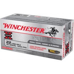 WINCHESTER 22 LR X22LR BRICK