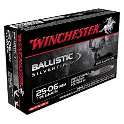 WINCHESTER 25-06 115BAL/ST...