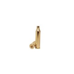 WINCHESTER BRASS 204 RUGER