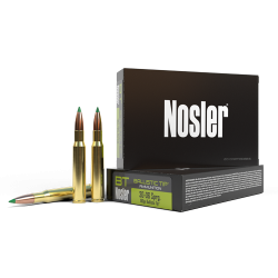 NOSLER AMMO 30-06 180 GR BT