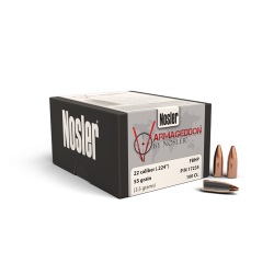 NOSLER BULLET 22/55...