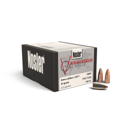 NOSLER BULLET 6MM/55...
