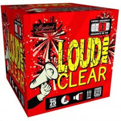 FIREWORK LOUD AND CLEAR CAKE