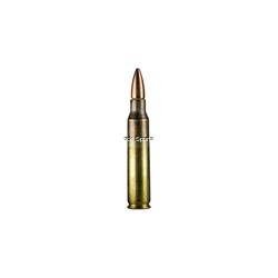 FEDERAL AMERICAN EAGLE 5.56...