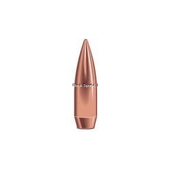 SPEER BULLET TARGET MATCH...
