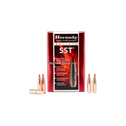 HORNADY BULLET 6.5/264/123 SST