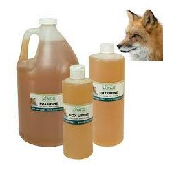 FOX URINE