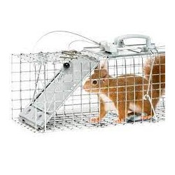 BELL LIVE SQUIRREL TRAP