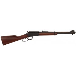 HENRY H001Y 22 LR YOUTH