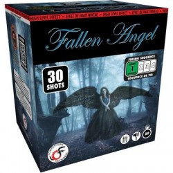 FIREWORK FALLEN ANGEL CAKE