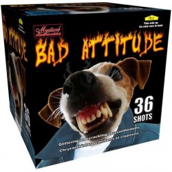 FIREWORK BAD ATTITUDE CAKE