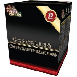 FIREWORK CRACKLING...