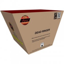 FIREWORK DEAD RINGER CAKE