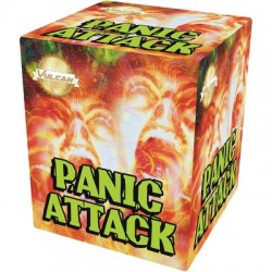 FIREWORK PANICK ATTACK...
