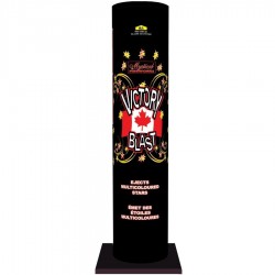 FIREWORK VICKTORY BLAST...