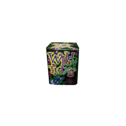 FIREWORK WILD THING CAKE