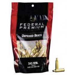 FEDERAL BRASS 243